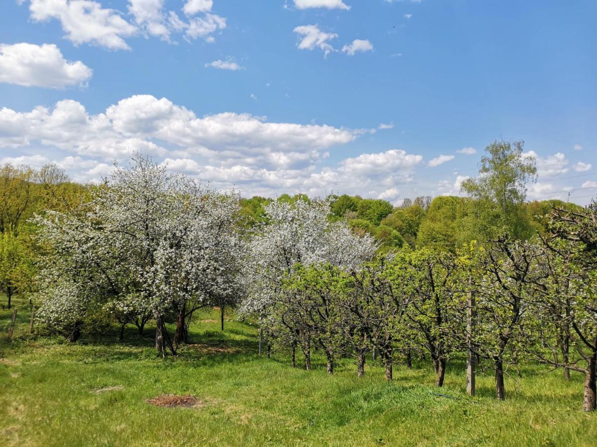 Вилла Weekend House Dubrave Високо Экстерьер фото